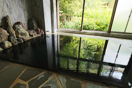 �j���̕��C